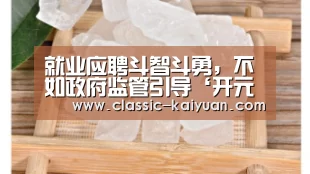 就业应聘斗智斗勇,不如政府监管引导‘开元棋牌app’(图2) 开云体育首页